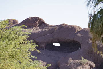 Papago 55