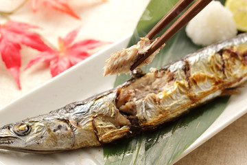 さんま　Grilled Pacific saury