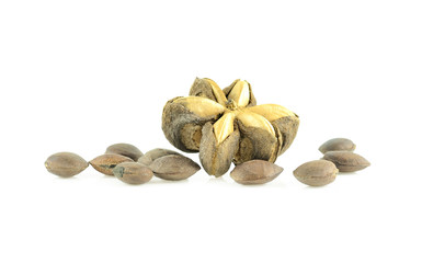 Inca stars on white background