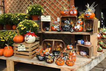 market pumpkins