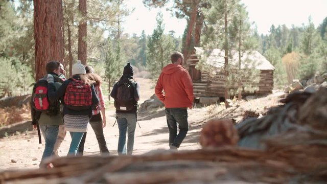 Six friends walk on forest path towards log cabin, back view