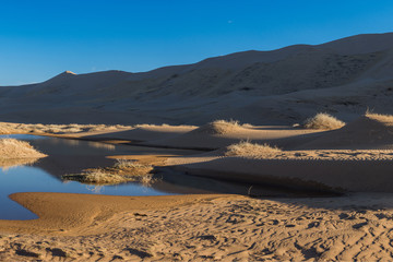 dune with magnificent sandy waves at hot and windy morning in desert 
