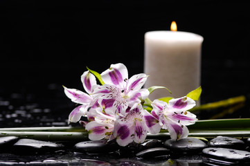 bouquet of orchid and green leaf with candle therapy stones