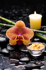 spa concept –orange orchid with stones, candle and bamboo grove