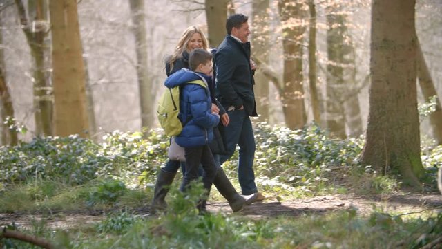 Panning shot following family of four walking through forest