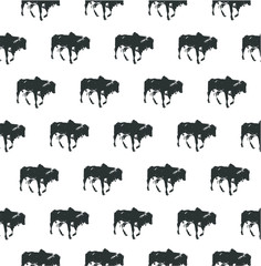 Cow on white