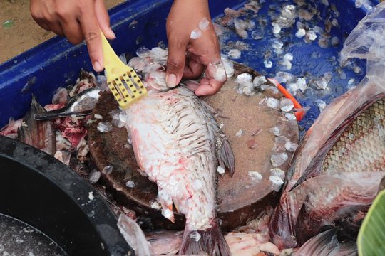 Making fresh fish in the market