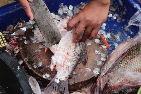 Making fresh fish in the market
