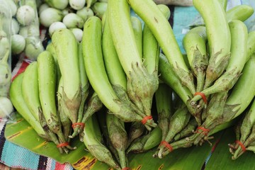 Fresh eggplant green organic in the market