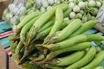 Fresh eggplant green organic in the market