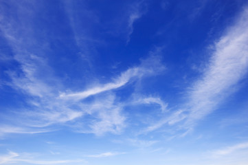 Fototapeta na wymiar blue sky with cloud