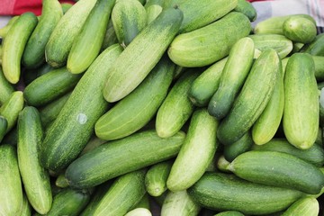 Fresh cucumbers in the market