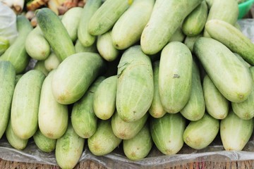 Fresh cucumbers in the market
