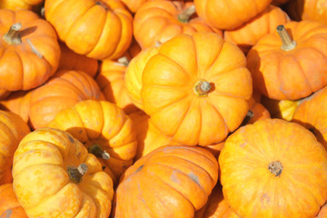 Small Pumpkins