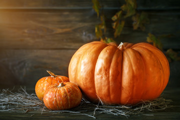 Pumpkins on a wooden table. Autumn still-life. Halloween.