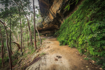 King's Cave