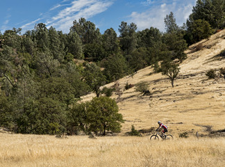 Off road cyclist exercising in municipal park