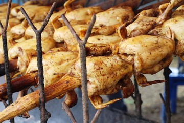 Rotating chicken is delicious