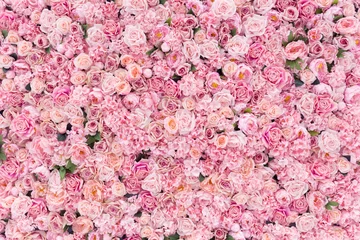 Tuinposter Rozen Mooie roze bloemen achtergrond