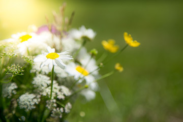 Fototapeta premium mix summer flowers bouquet