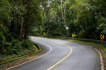 Asphalt road through the deep forest. Close up, Nature background.