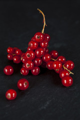 Red Currants