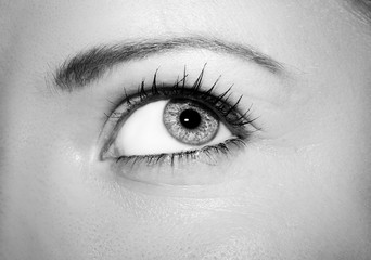 A beautiful insightful look woman's eye. 