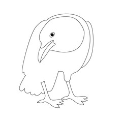 crow  vector illustration  side front line drawing