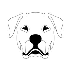 Argentine dog face  vector illustration  line drawing