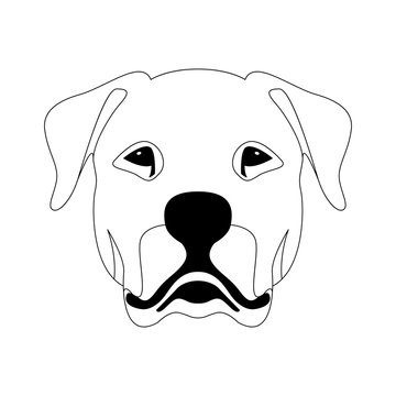 Argentine dog face  vector illustration  line drawing