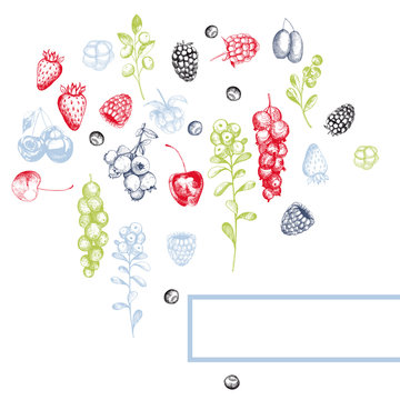 Vector background with  berries.