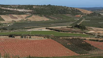 Fototapeta na wymiar View from the hill on the landscape with road and vineyards