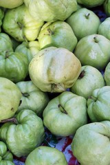 Guava fruit is delicious in the market