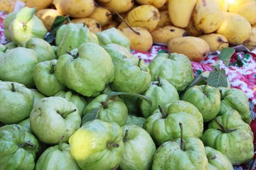 Guava fruit is delicious in the market