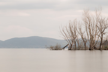 Long exposure view of a lake, with perfectly still water and skeletal trees