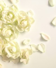 ナチュラルな白い薔薇の花びら、白背景、背景素材