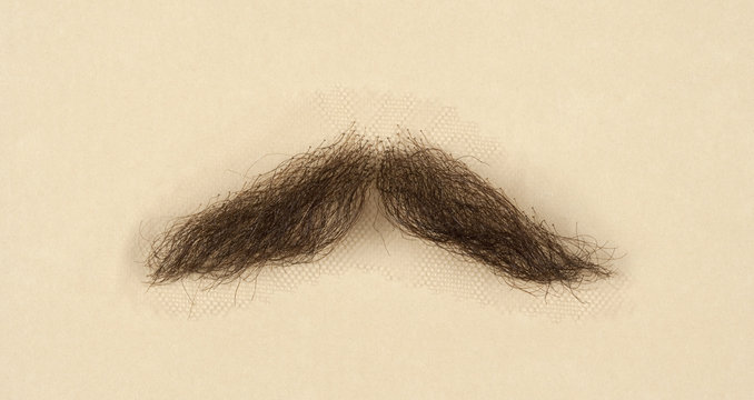 Artificial Mustache for Film and Theater Production