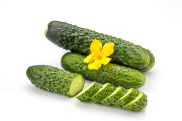Cucumber