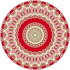 Bright colorful mandala, floral emblem, round decorative ornament isolated on white, geometric pattern, eastern, islamic, muslim, japanese, indian circular symbol.
