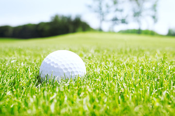 Golf ball in grass