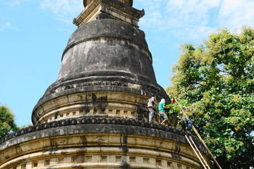 Wat U Mong Thera Jan