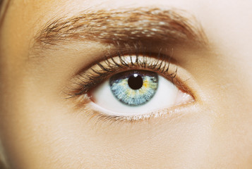 A beautiful insightful look woman's eye.