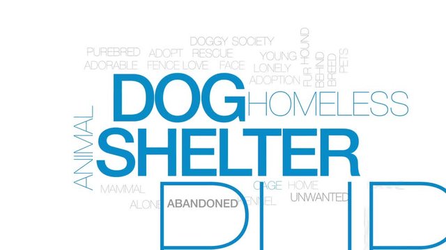 Dog shelter animated word cloud, text design animation. Kinetic typography.