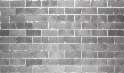Brick cement wall