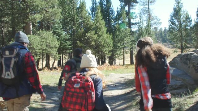 Excited friends hiking past a cabin in a forest, back view, shot on R3D