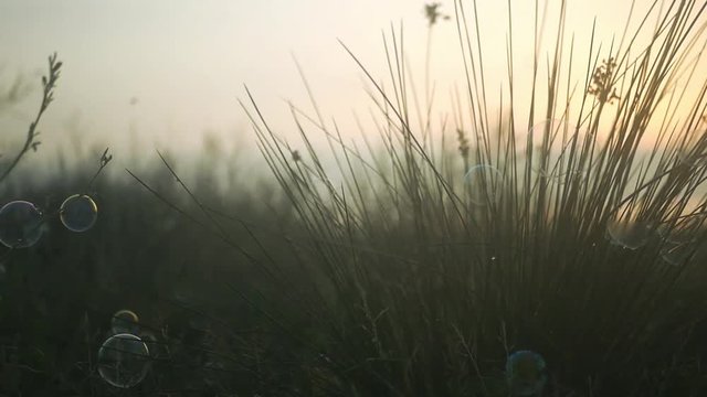 Soap bubbles hanging on the grass. HD, 1920x1080. slow motion.