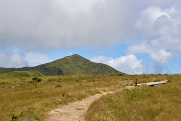 Peak of Pico da Vara (azores)