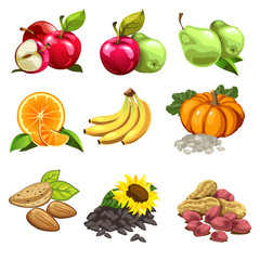 Fruits, vegetables, nuts, sunflowers seeds. apples, pears, oranges, bananas, pumpkin. Big vector set of nine icons for culinary design projects. Illustration isolated on white background