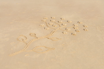 arbre à papillons dessiné dans le sable