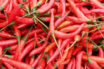 Fresh chilli in the market